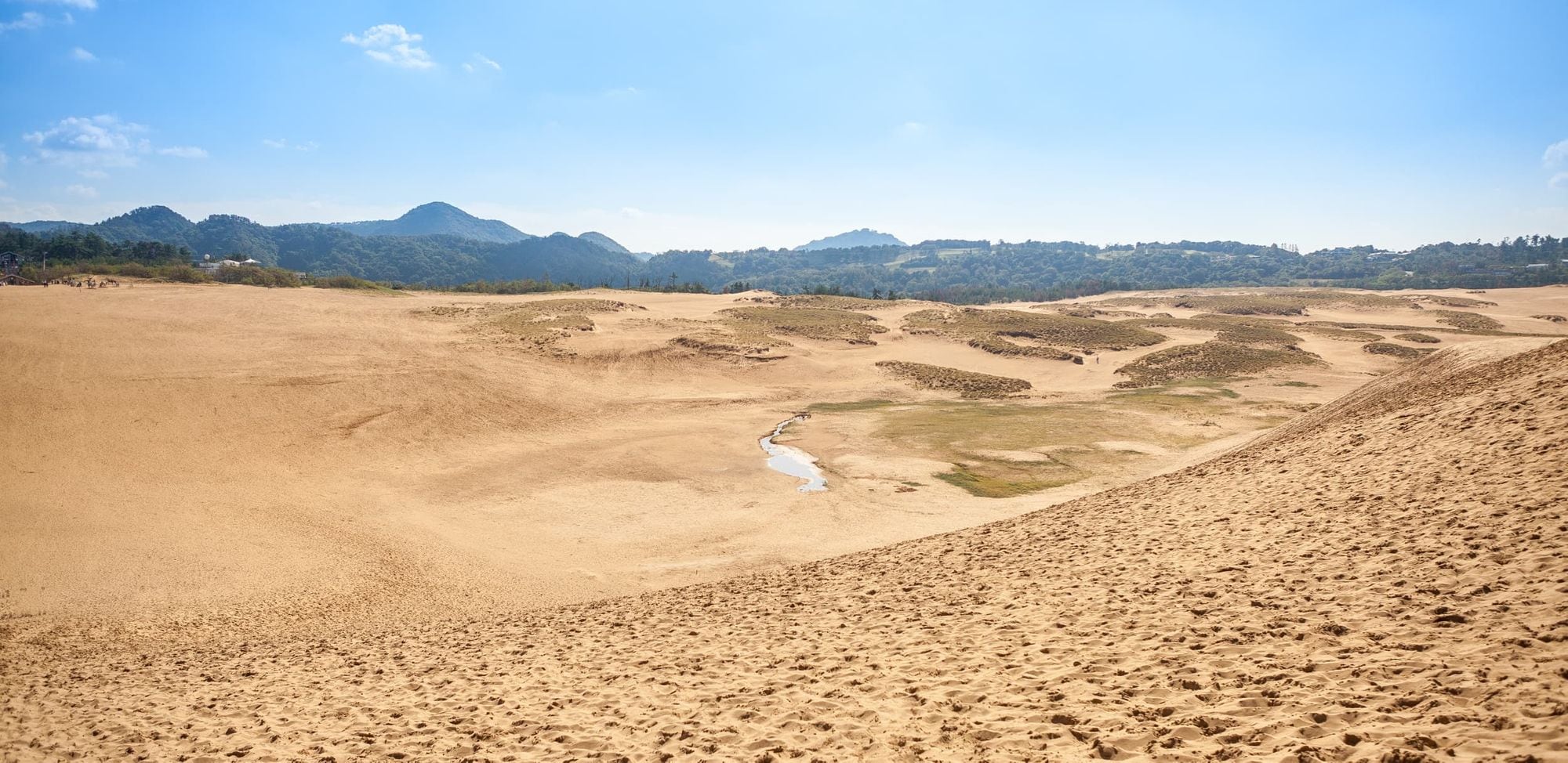 Tottori Sand Dunes (鳥取砂丘)
