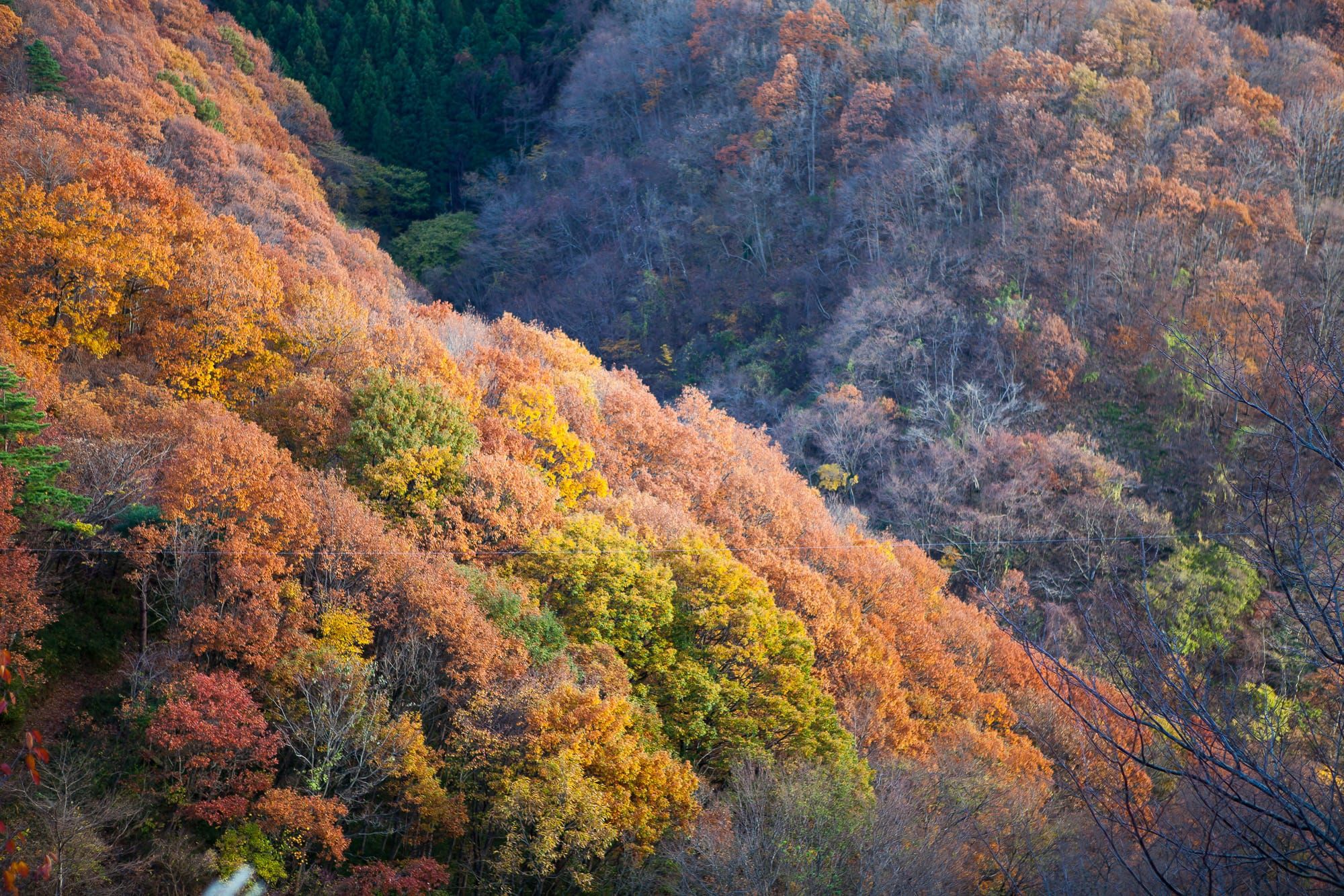Mount Myoken (妙見山)