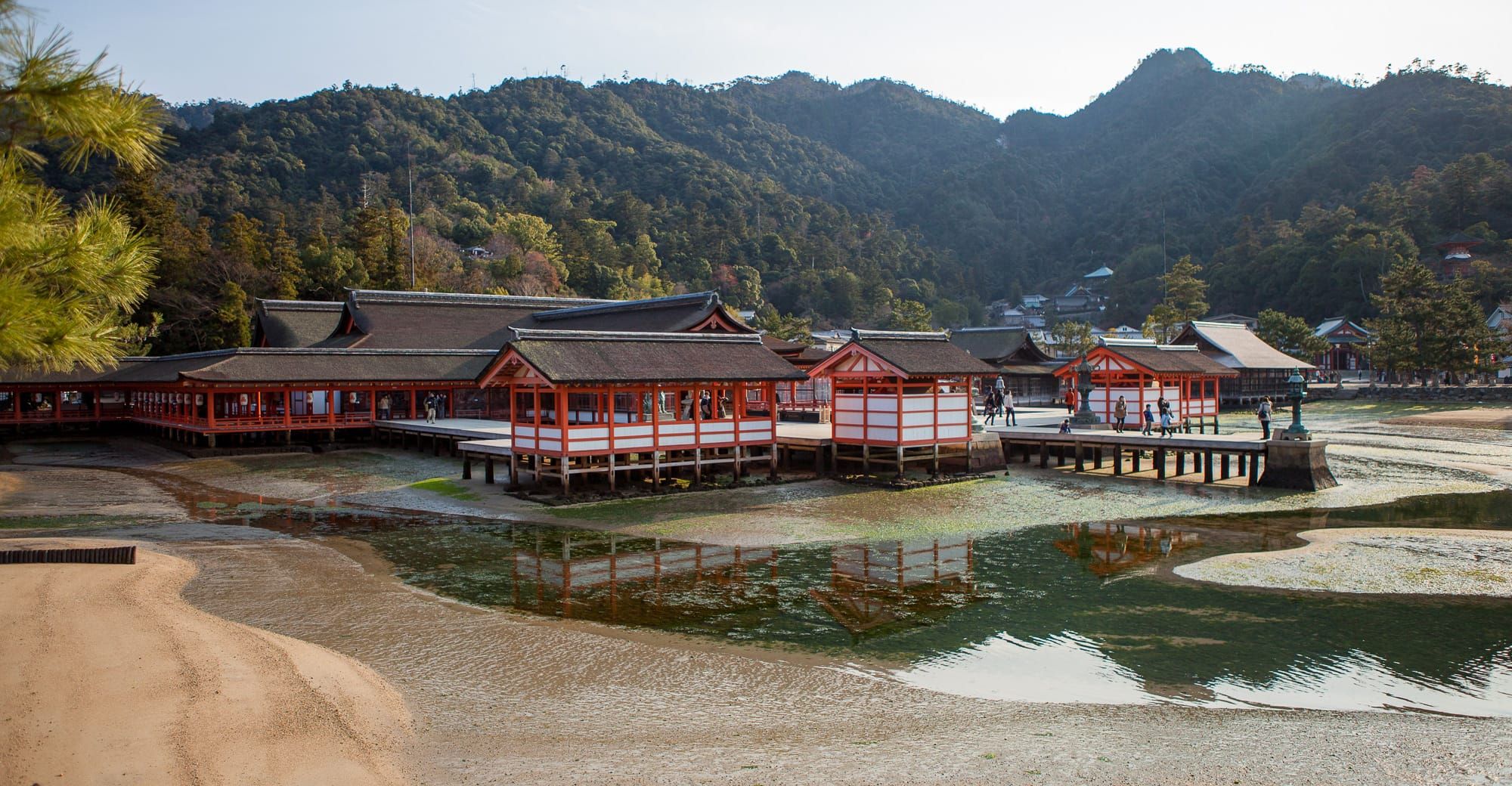 Miyajima (厳島) / Itsukushima (厳島)