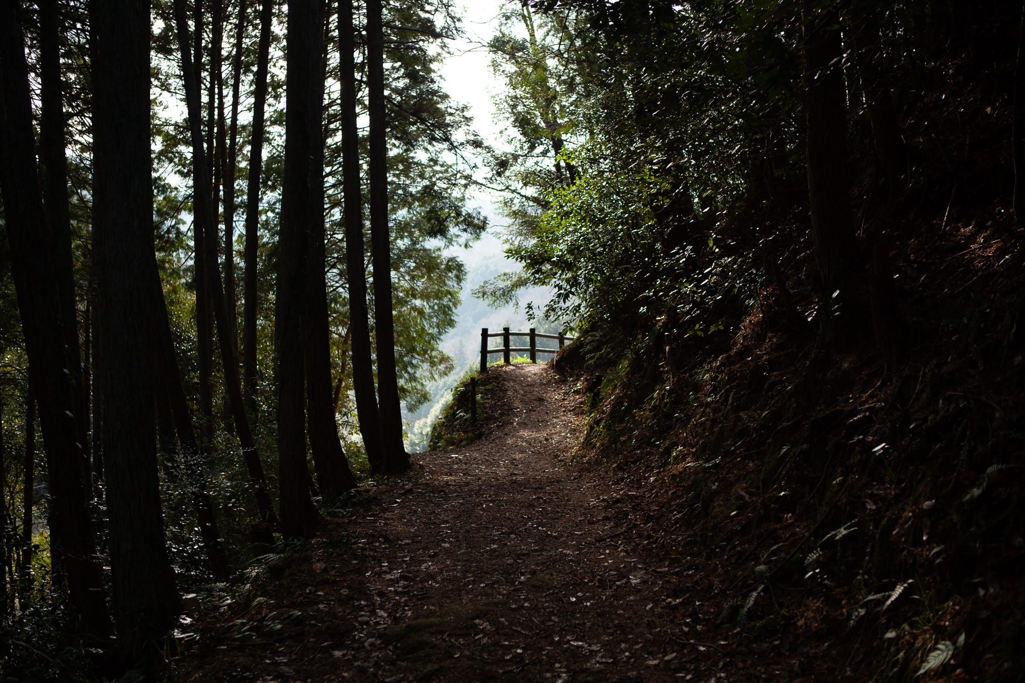 Forty-Eight Waterfalls of Akame (赤目四十八滝) Walk