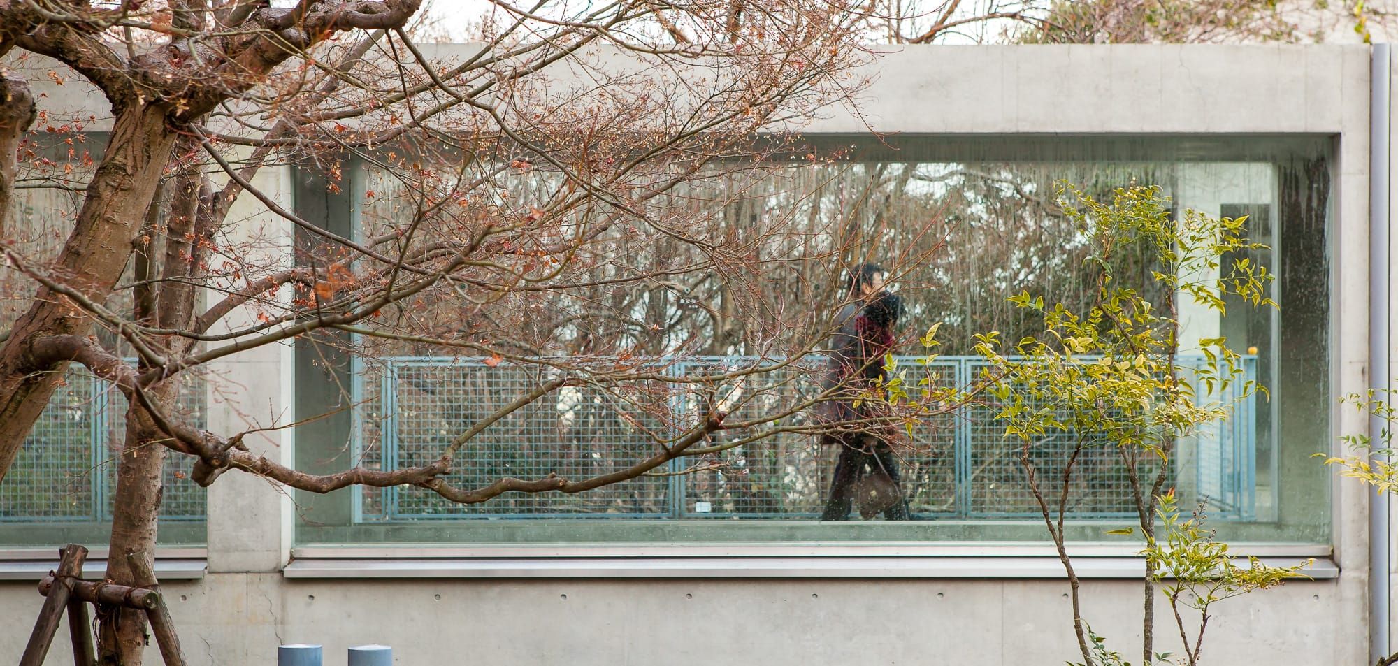 Tadao Ando Designed Oyamazaki Museum