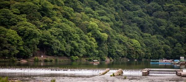 Arashiyama Kyoto (嵐山)