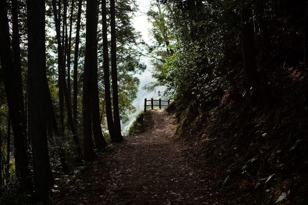 Forty-Eight Waterfalls of Akame (赤目四十八滝) Walk
